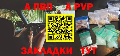 стафф Донской